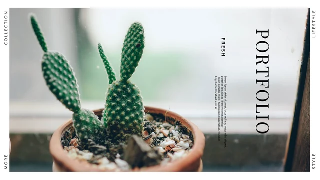 Cactus Lifestyle Portfolio Presentation Template