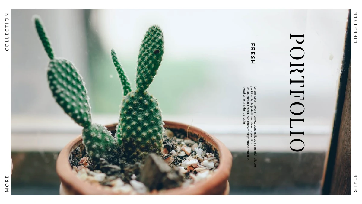 Cactus Lifestyle Portfolio Presentation Template — Slide 1 of 20