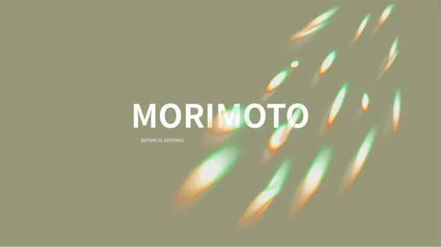 Morimoto Olive Presentation Template