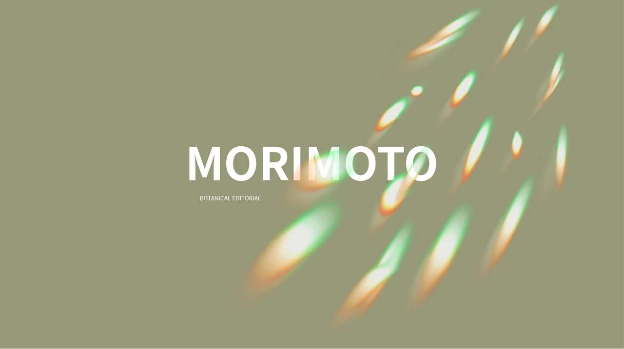 Morimoto Olive Presentation Template — Slide 1 of 29