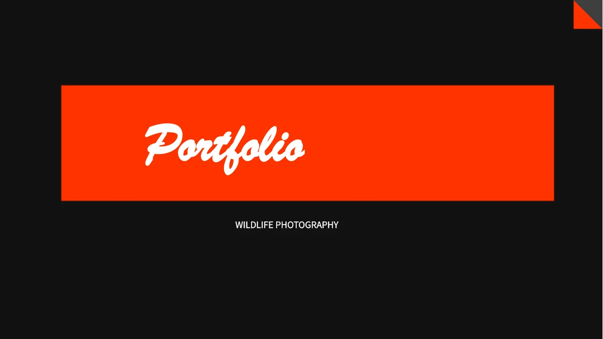 Orange Wildlife Photography Presentation Template — Slide 1 of 20