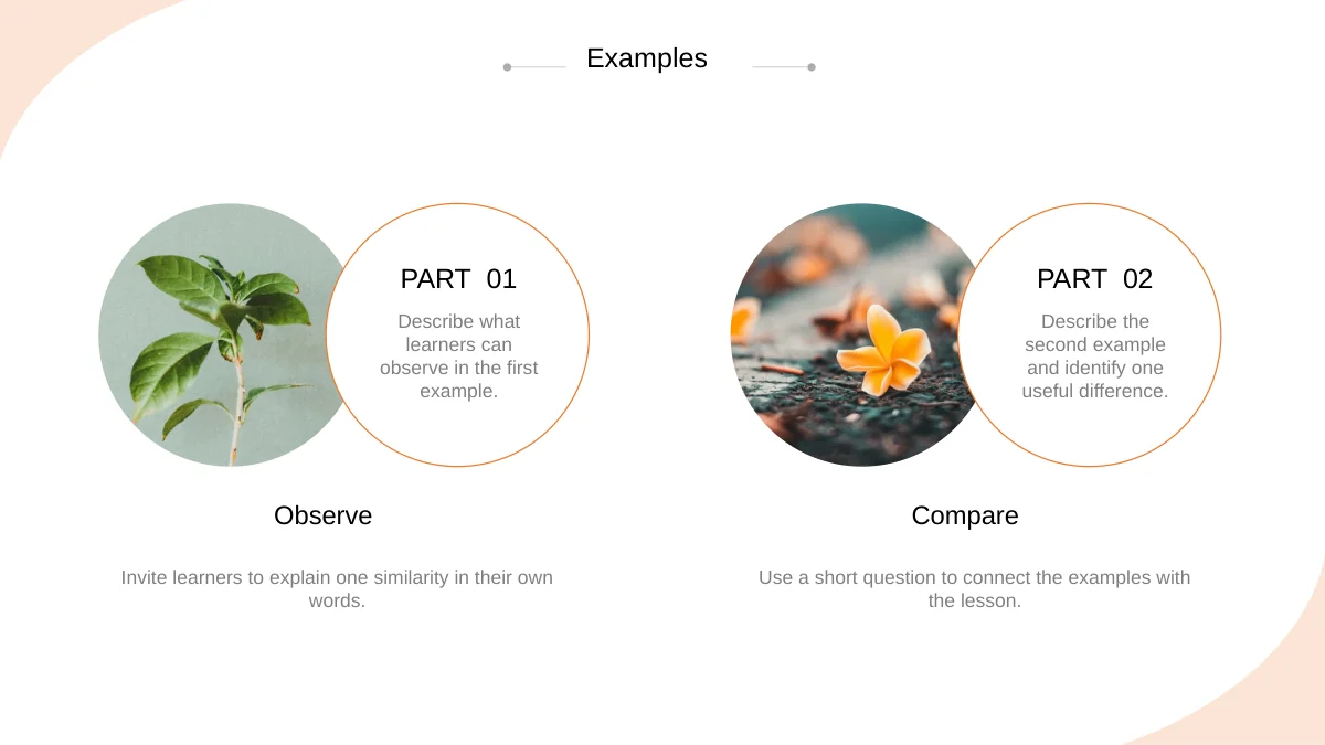 Modèle de présentation Cours épuré couleur pêche | PPT AI
