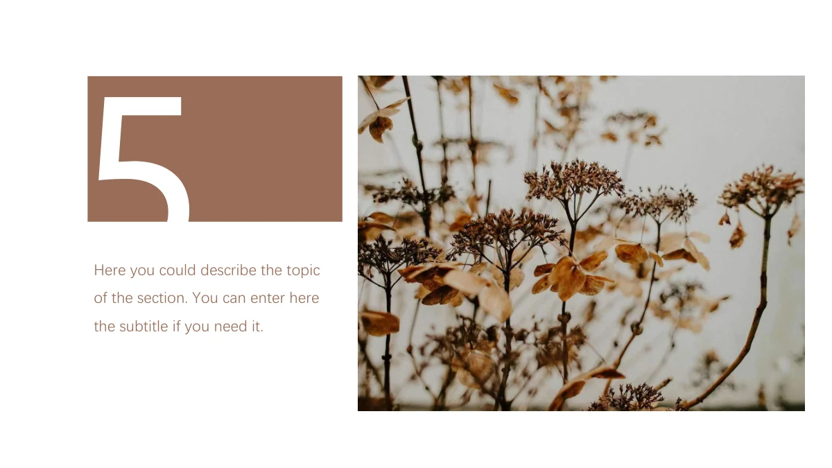 Modelo de Apresentação Diário de Viagem — Um painel marrom com o número 5 e texto acompanha uma grande foto de plantas secas.