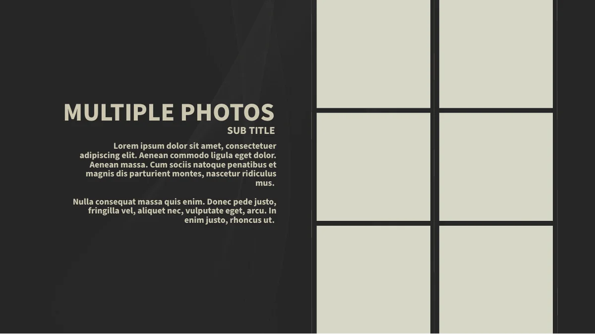 Seis espaços retangulares para fotos distribuídos em duas colunas.